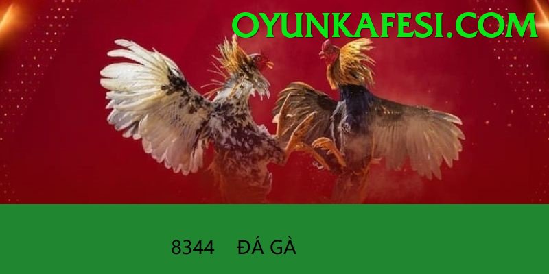 Trường Đấu Đá Gà Chuyên Nghiệp